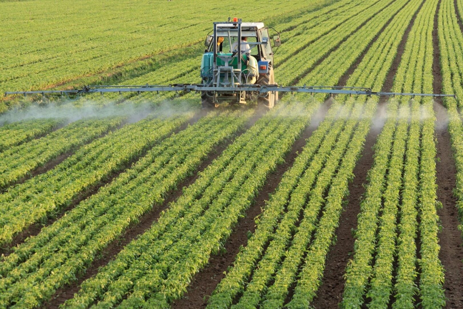 A tractor spraying pesticides on a green field.